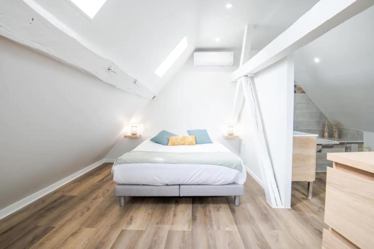 Comfortable Air-Conditioned T3 In The Heart Of Amboise With Parking Space Eksteriør bilde