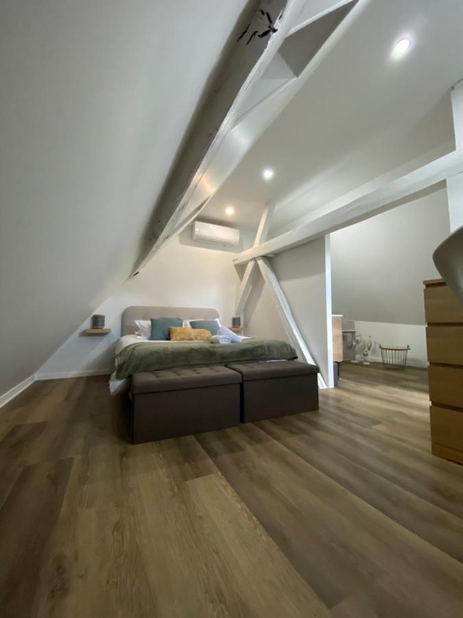 Comfortable Air-Conditioned T3 In The Heart Of Amboise With Parking Space Eksteriør bilde