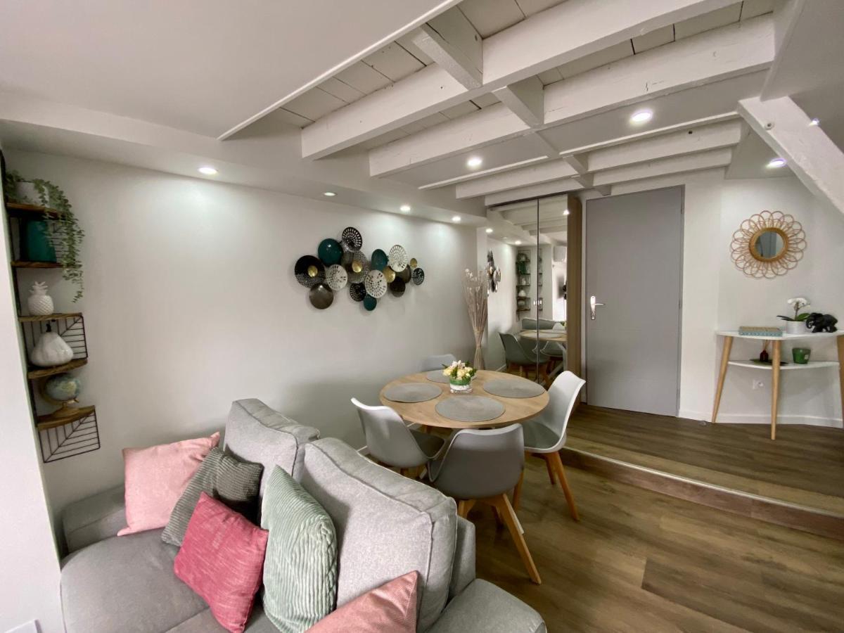 Comfortable Air-Conditioned T3 In The Heart Of Amboise With Parking Space Eksteriør bilde