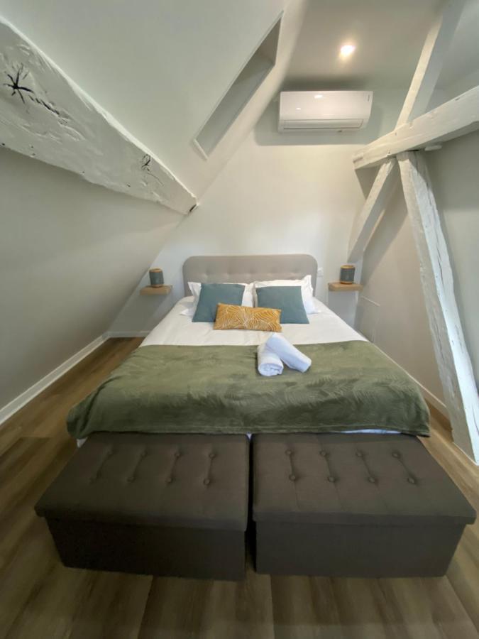 Comfortable Air-Conditioned T3 In The Heart Of Amboise With Parking Space Eksteriør bilde