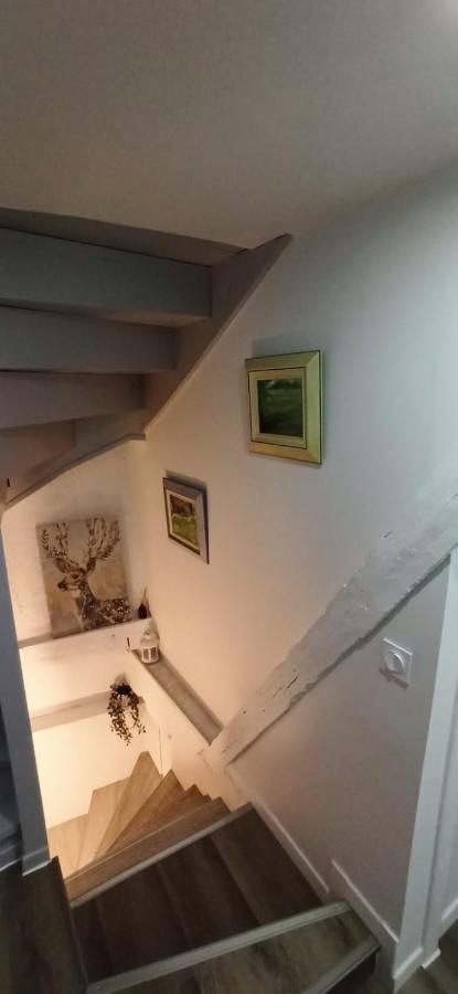Comfortable Air-Conditioned T3 In The Heart Of Amboise With Parking Space Eksteriør bilde
